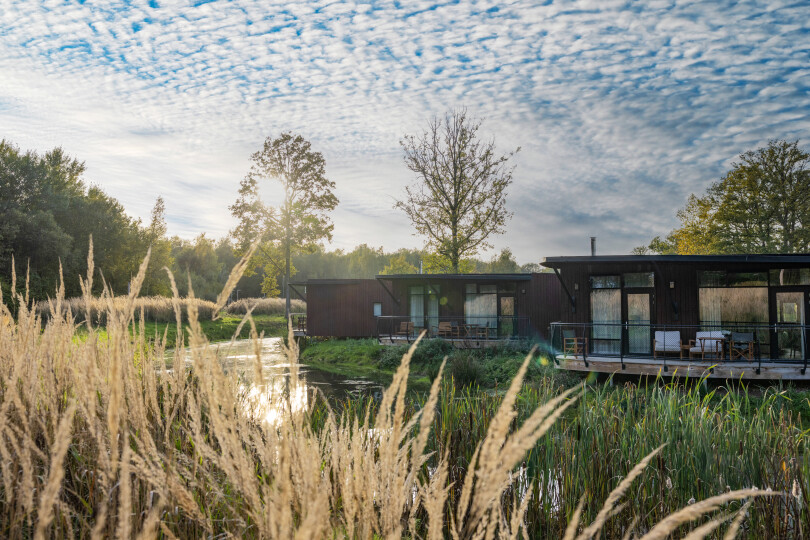 À 46 ans, le prince Édouard de Ligne-La Trémoille arpente les allées cavalières du domaine d’Antoing.
